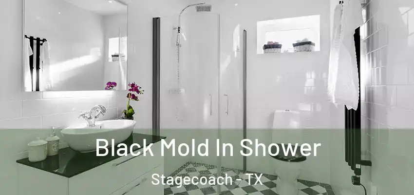 Black Mold In Shower Stagecoach - TX
