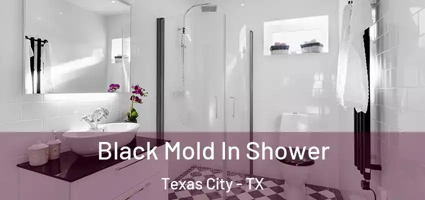  Black Mold In Shower Texas City - TX