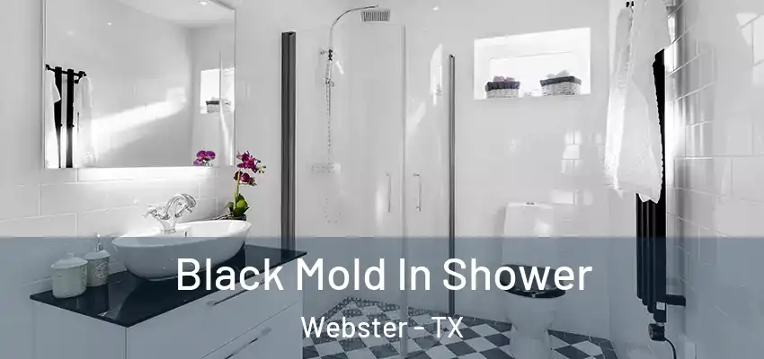  Black Mold In Shower Webster - TX