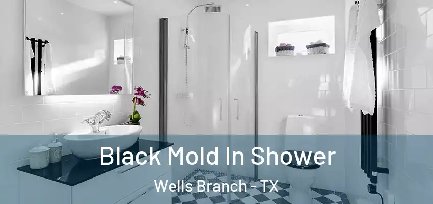  Black Mold In Shower Wells Branch - TX