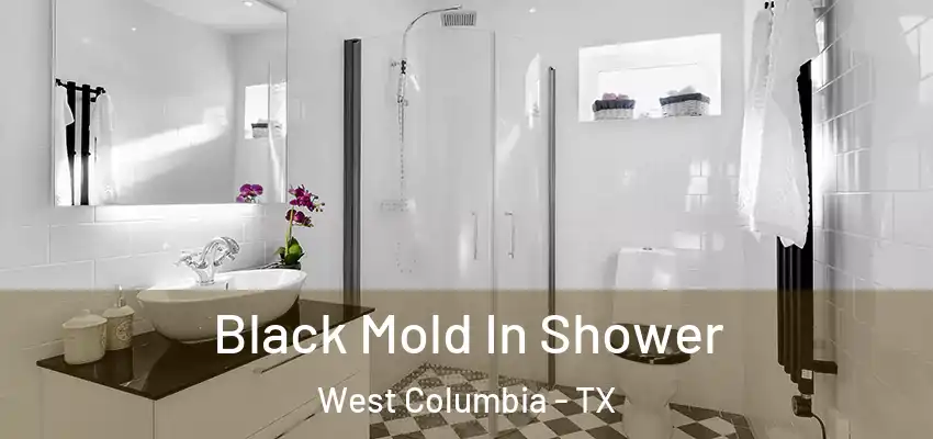 Black Mold In Shower West Columbia - TX