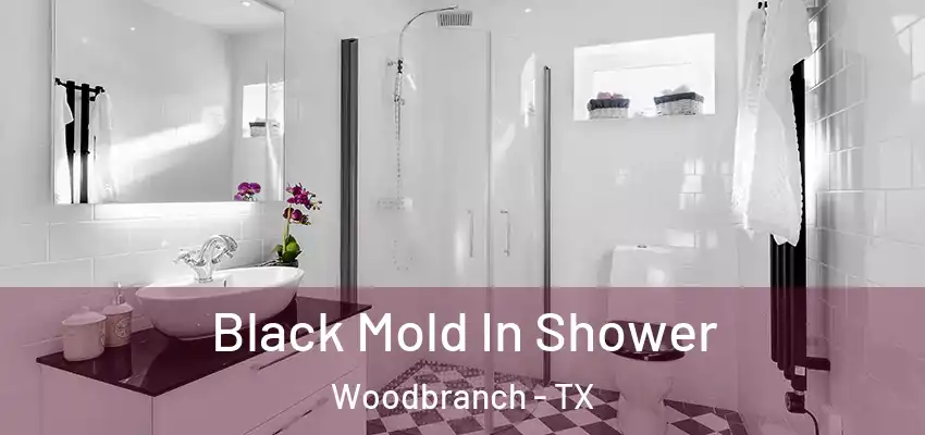  Black Mold In Shower Woodbranch - TX
