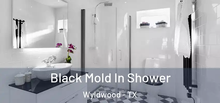 Black Mold In Shower Wyldwood - TX