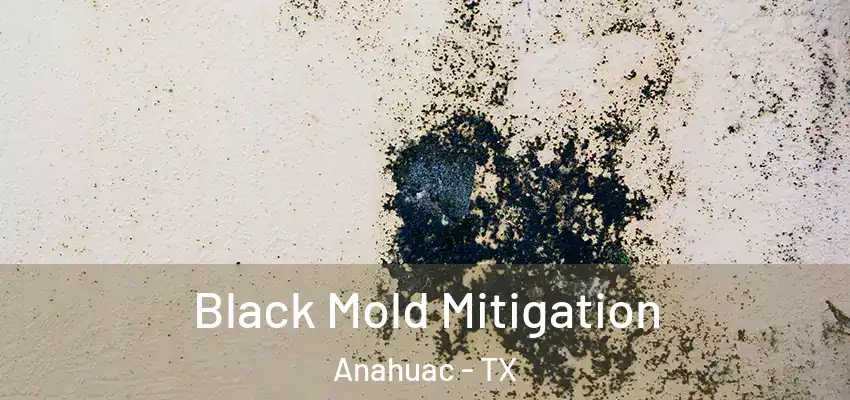  Black Mold Mitigation Anahuac - TX
