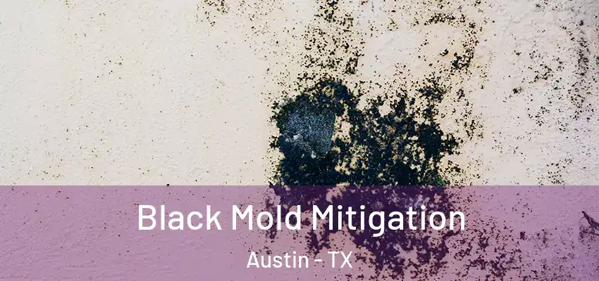 Black Mold Mitigation Austin - TX