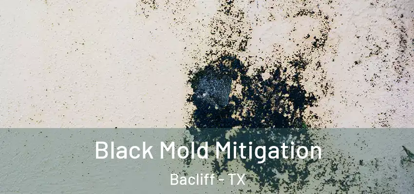  Black Mold Mitigation Bacliff - TX