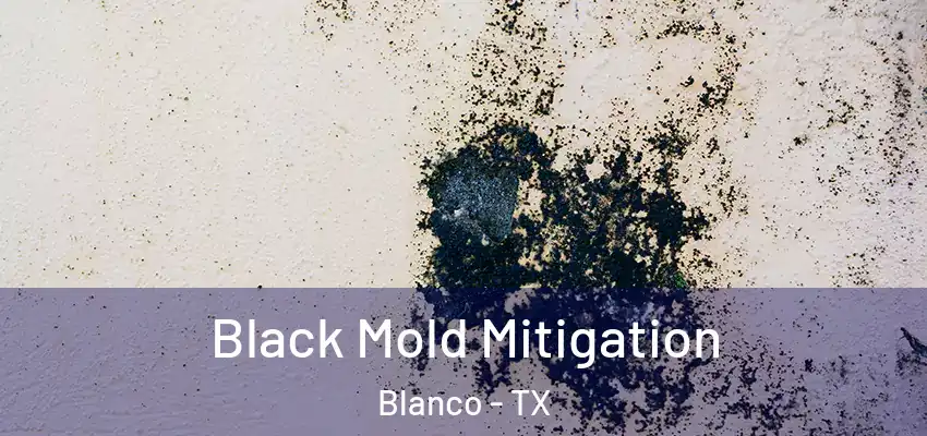  Black Mold Mitigation Blanco - TX