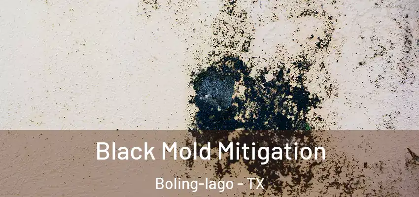  Black Mold Mitigation Boling-Iago - TX