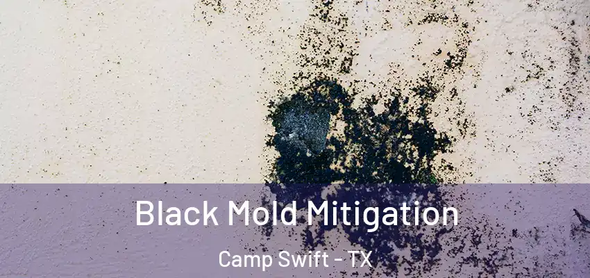 Black Mold Mitigation Camp Swift - TX