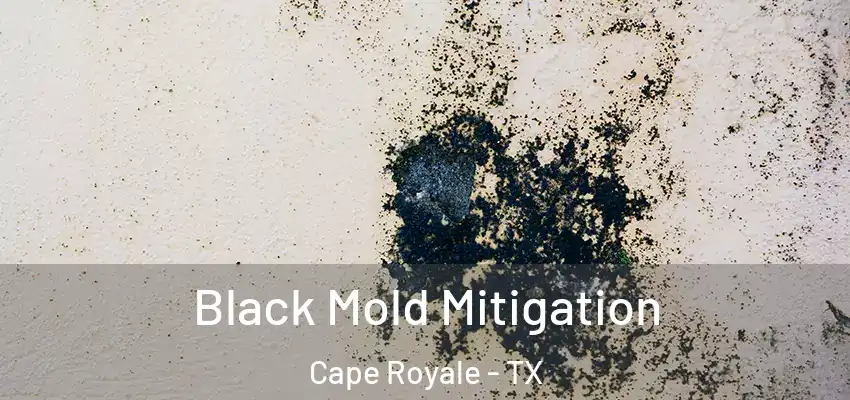  Black Mold Mitigation Cape Royale - TX