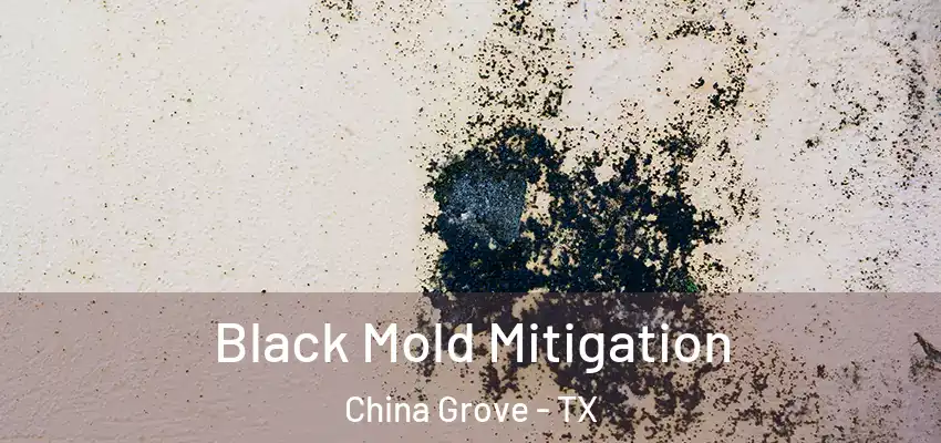  Black Mold Mitigation China Grove - TX