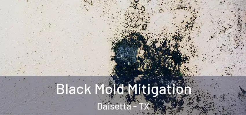  Black Mold Mitigation Daisetta - TX
