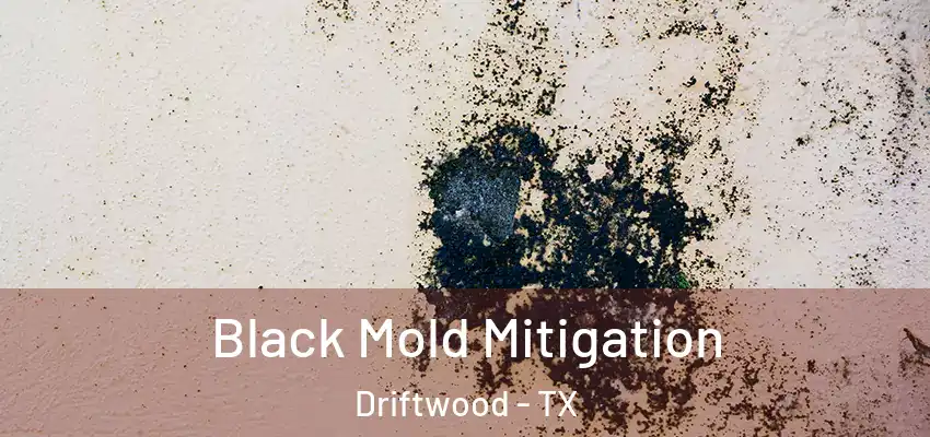  Black Mold Mitigation Driftwood - TX
