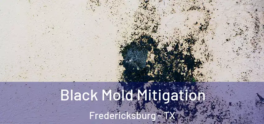  Black Mold Mitigation Fredericksburg - TX