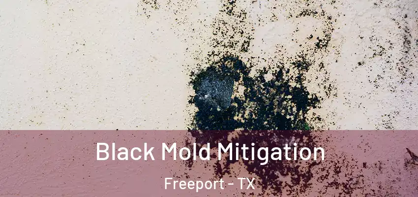 Black Mold Mitigation Freeport - TX