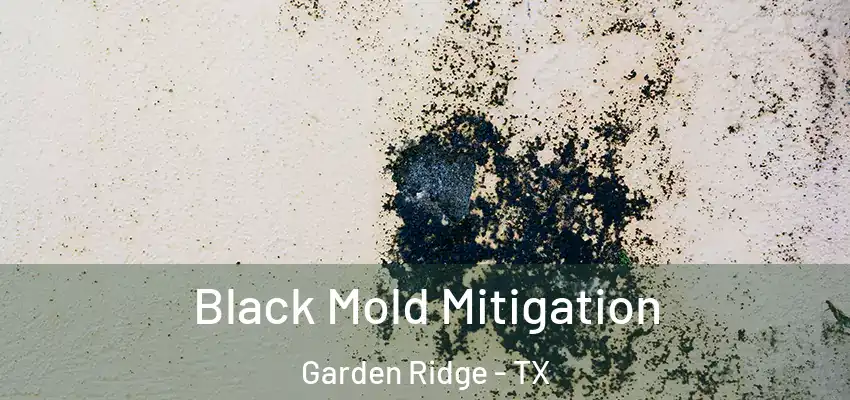  Black Mold Mitigation Garden Ridge - TX
