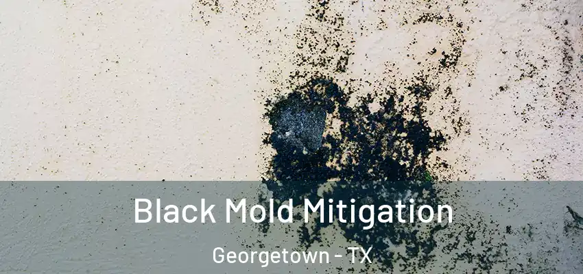 Black Mold Mitigation Georgetown - TX
