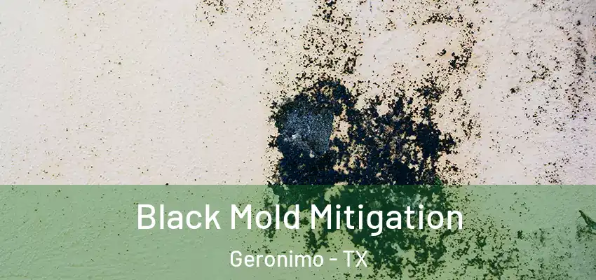  Black Mold Mitigation Geronimo - TX