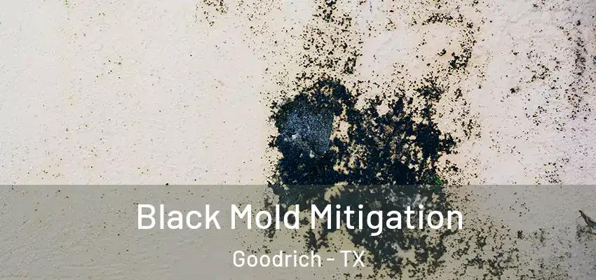  Black Mold Mitigation Goodrich - TX