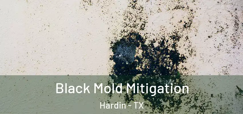  Black Mold Mitigation Hardin - TX