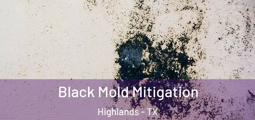  Black Mold Mitigation Highlands - TX