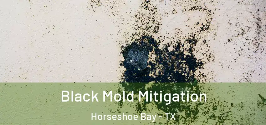  Black Mold Mitigation Horseshoe Bay - TX