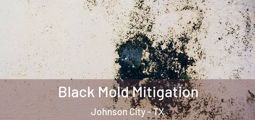  Black Mold Mitigation Johnson City - TX