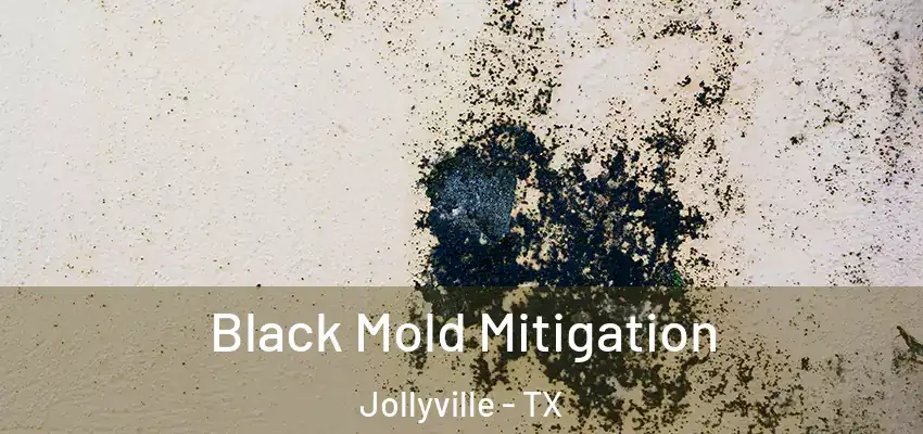  Black Mold Mitigation Jollyville - TX