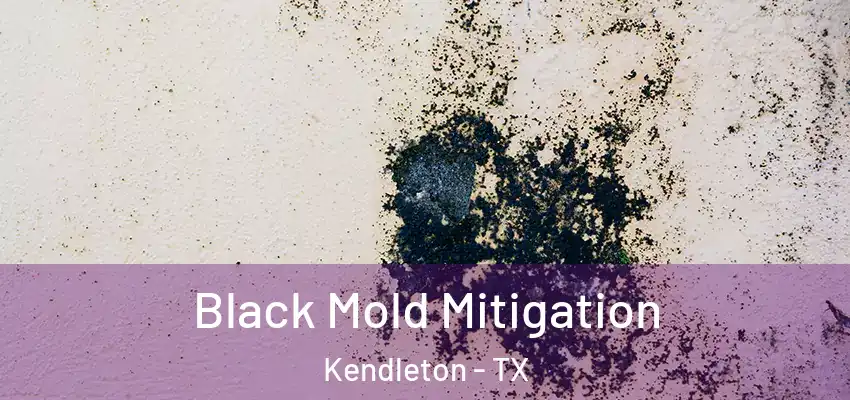  Black Mold Mitigation Kendleton - TX