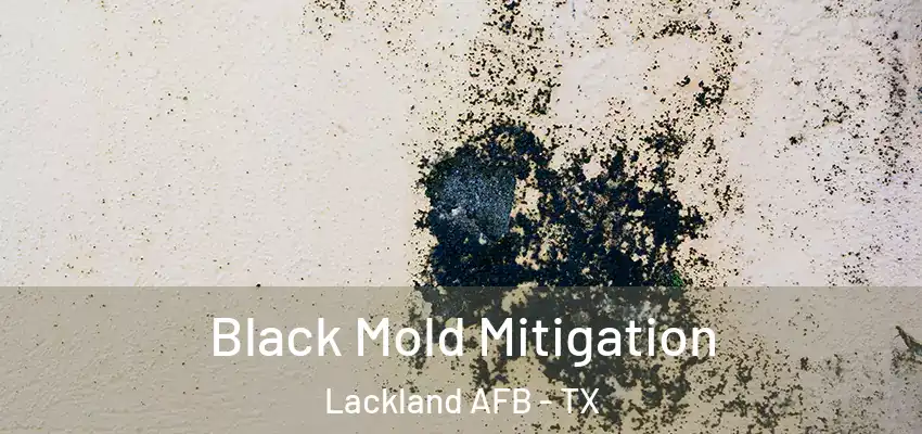 Black Mold Mitigation Lackland AFB - TX