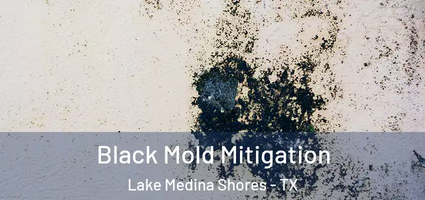 Black Mold Mitigation Lake Medina Shores - TX