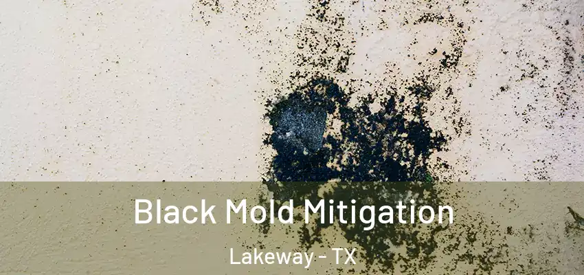 Black Mold Mitigation Lakeway - TX