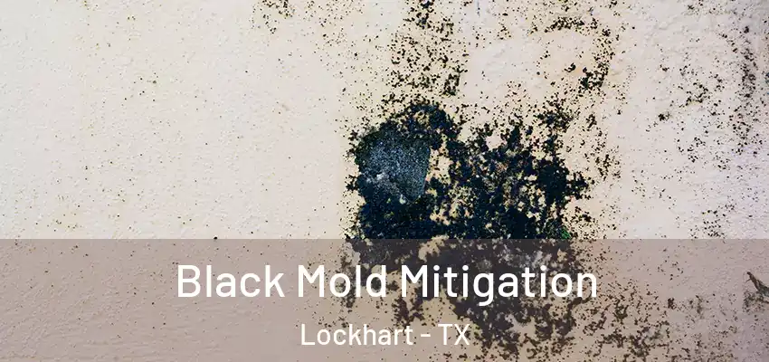  Black Mold Mitigation Lockhart - TX