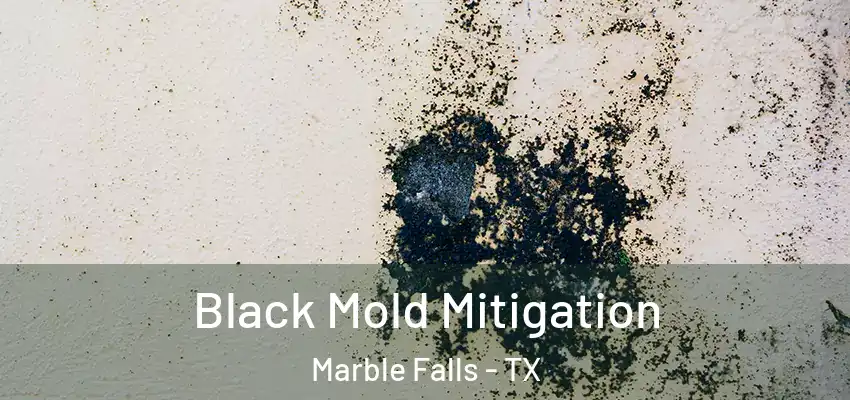  Black Mold Mitigation Marble Falls - TX