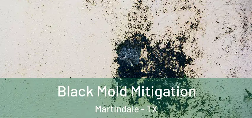  Black Mold Mitigation Martindale - TX