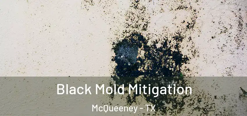  Black Mold Mitigation McQueeney - TX