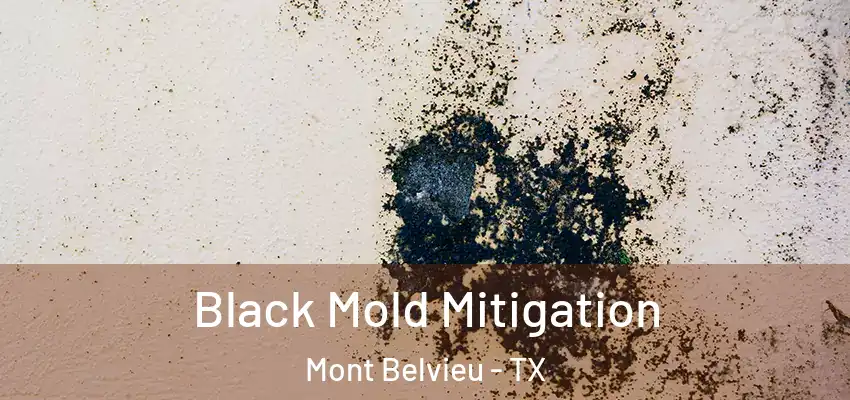  Black Mold Mitigation Mont Belvieu - TX