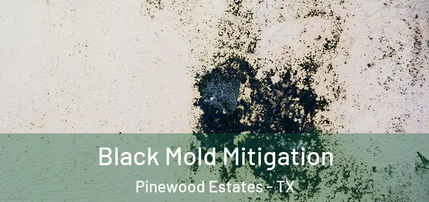  Black Mold Mitigation Pinewood Estates - TX