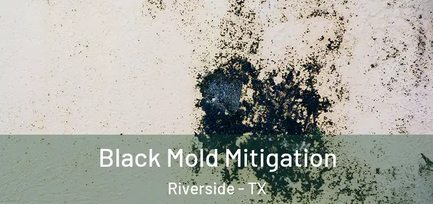  Black Mold Mitigation Riverside - TX
