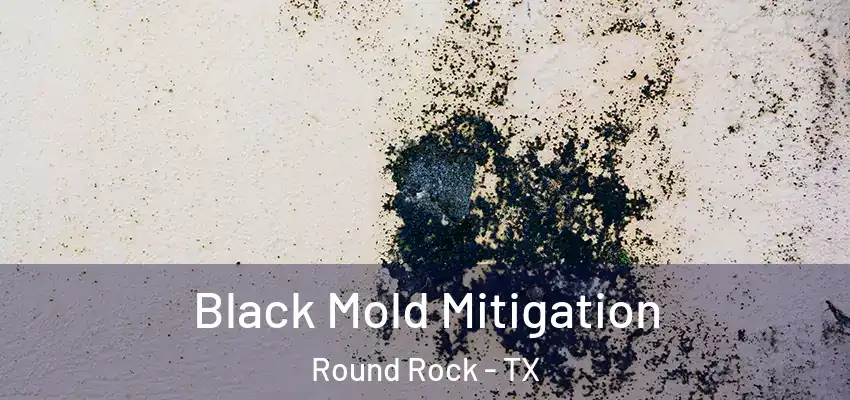  Black Mold Mitigation Round Rock - TX