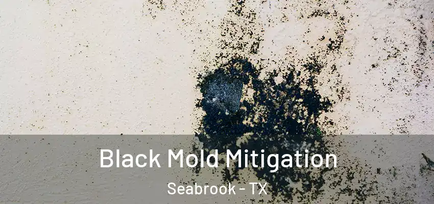  Black Mold Mitigation Seabrook - TX