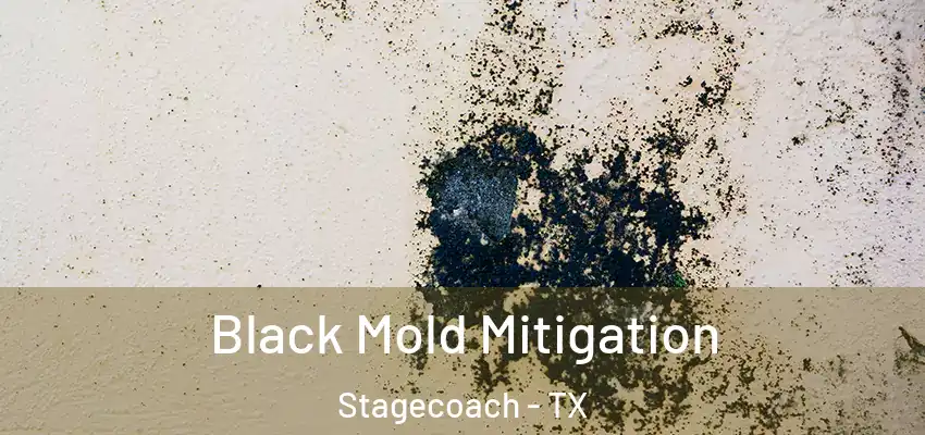  Black Mold Mitigation Stagecoach - TX