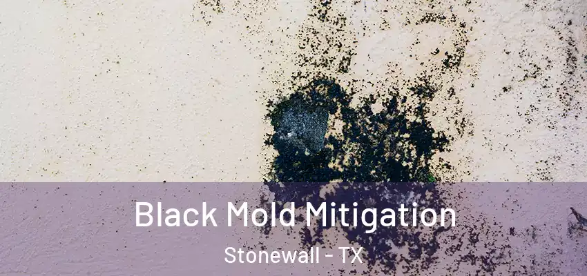 Black Mold Mitigation Stonewall - TX