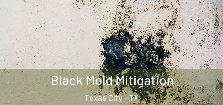 Black Mold Mitigation Texas City - TX