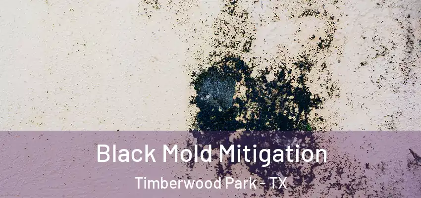  Black Mold Mitigation Timberwood Park - TX
