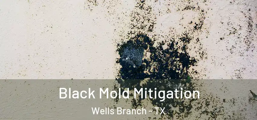 Black Mold Mitigation Wells Branch - TX
