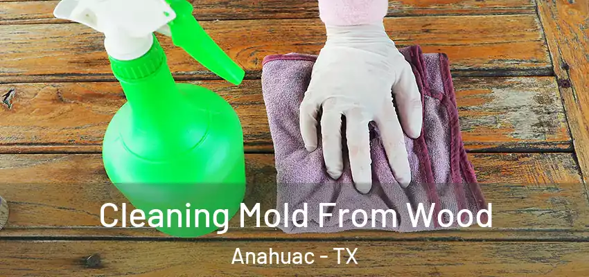  Cleaning Mold From Wood Anahuac - TX