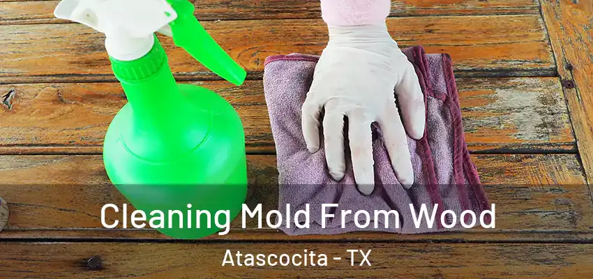  Cleaning Mold From Wood Atascocita - TX
