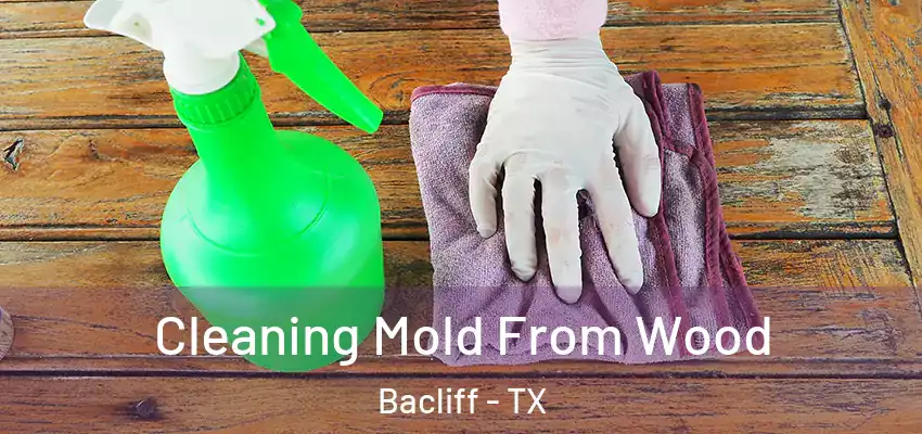  Cleaning Mold From Wood Bacliff - TX