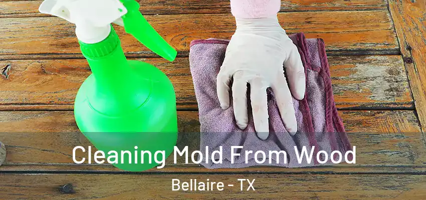 Cleaning Mold From Wood Bellaire - TX